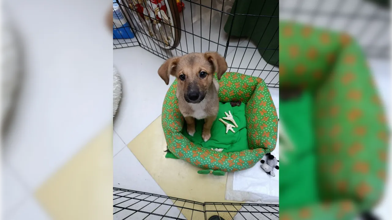 пресс-служба администрации г.о. Люберцы