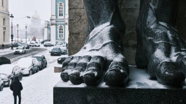 Алексей Даничев / РИА Новости