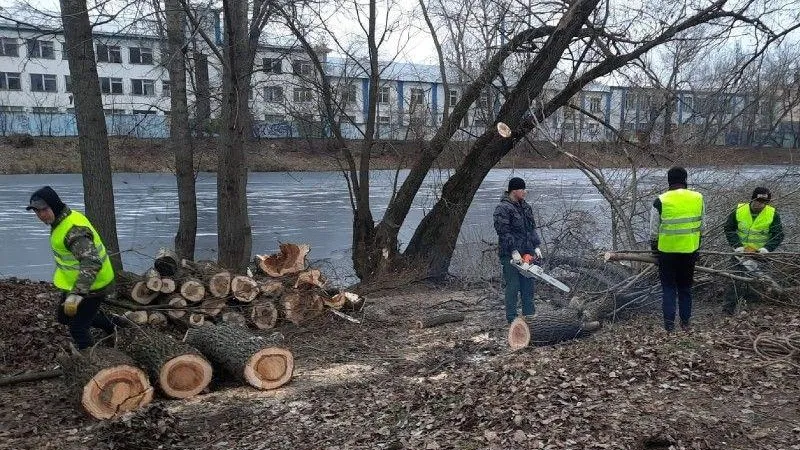 Порядка восьмидесяти кубометров отходов вывезли с территории водоема Люберец
