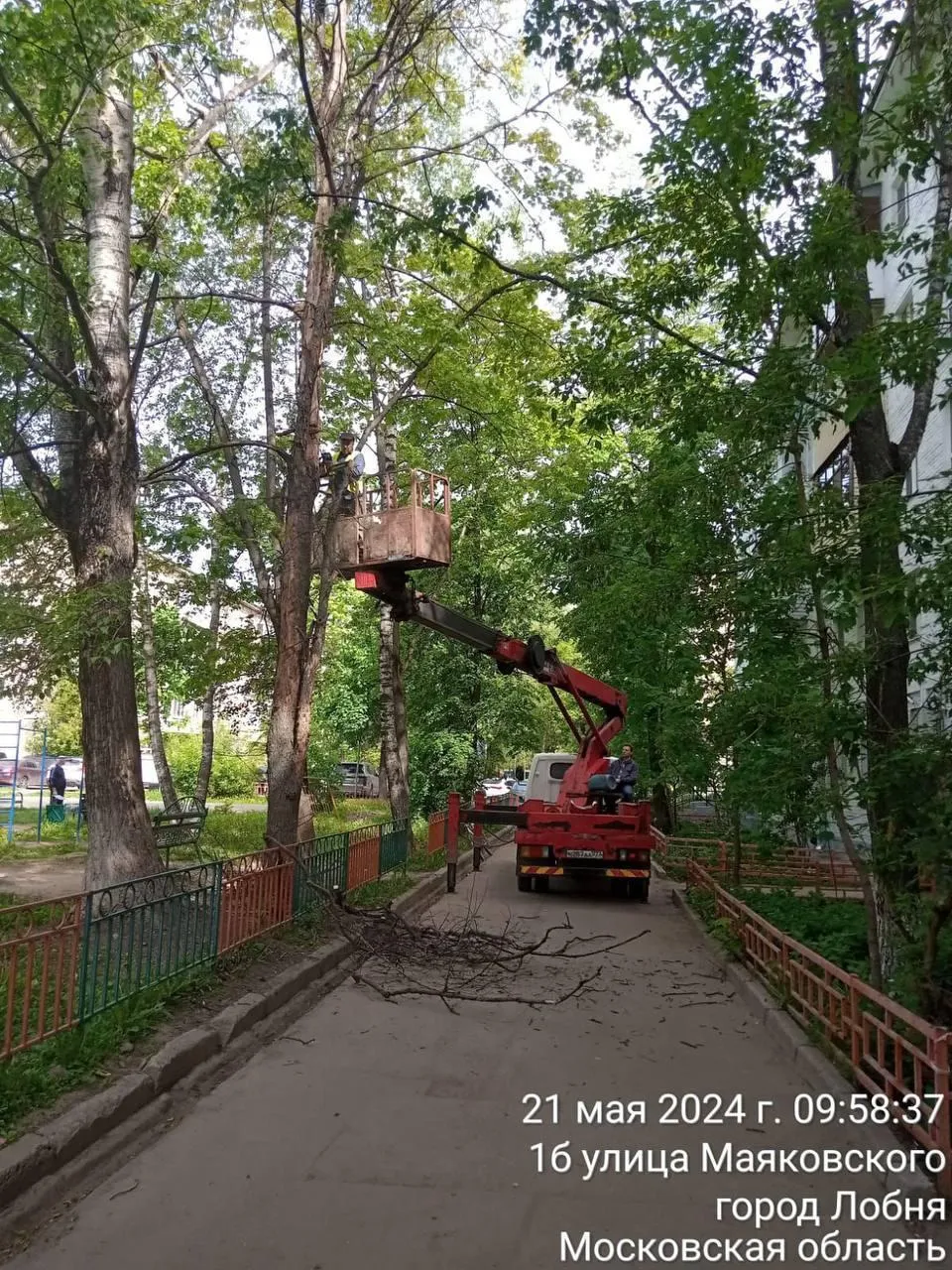 Пресс-служба городского округа Лобня