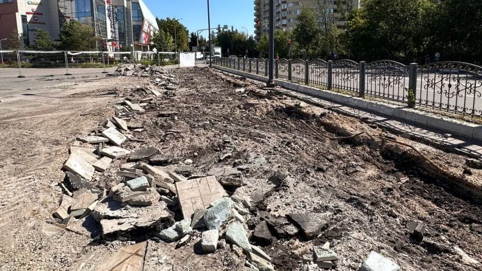Фото: Министерство благоустройства Московской области