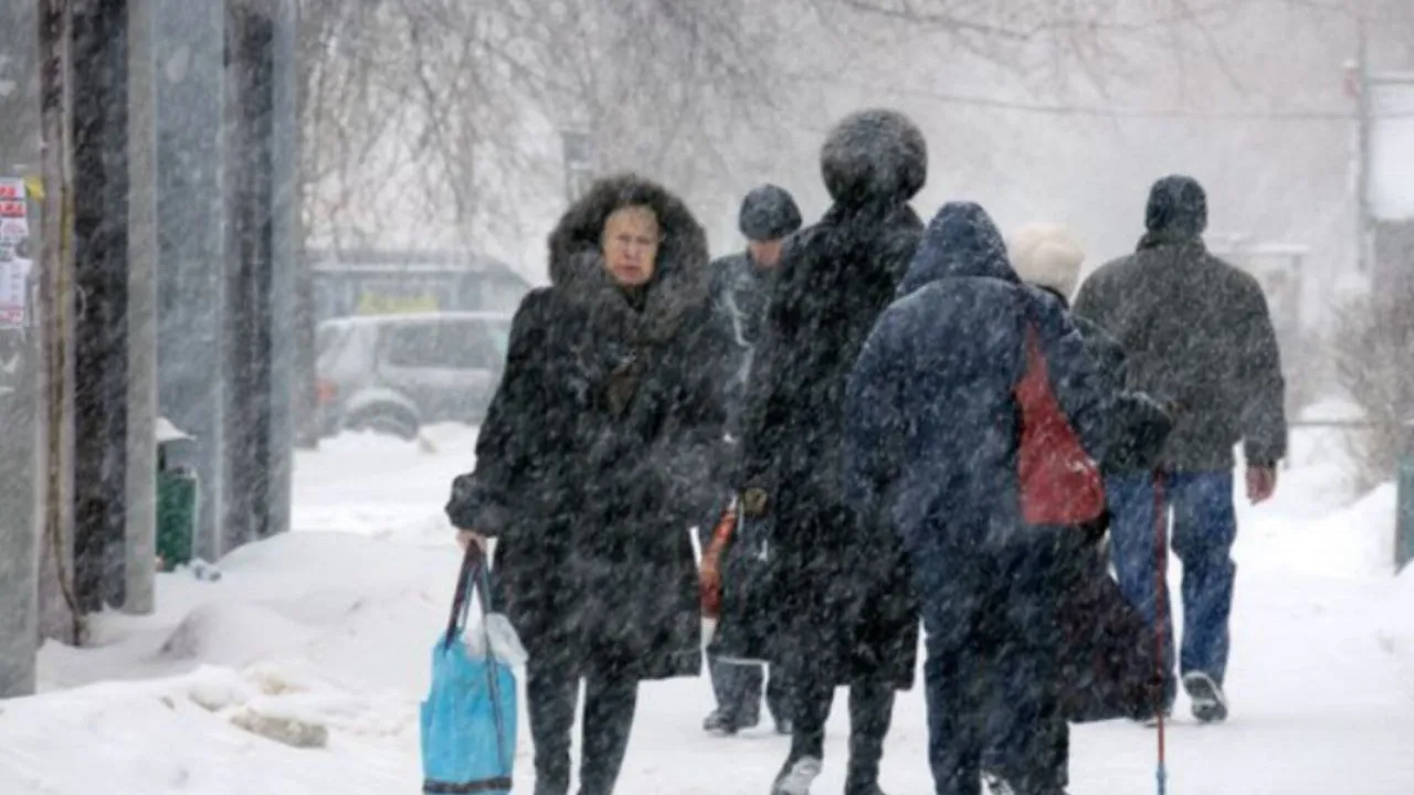 Фото: медиасток.рф