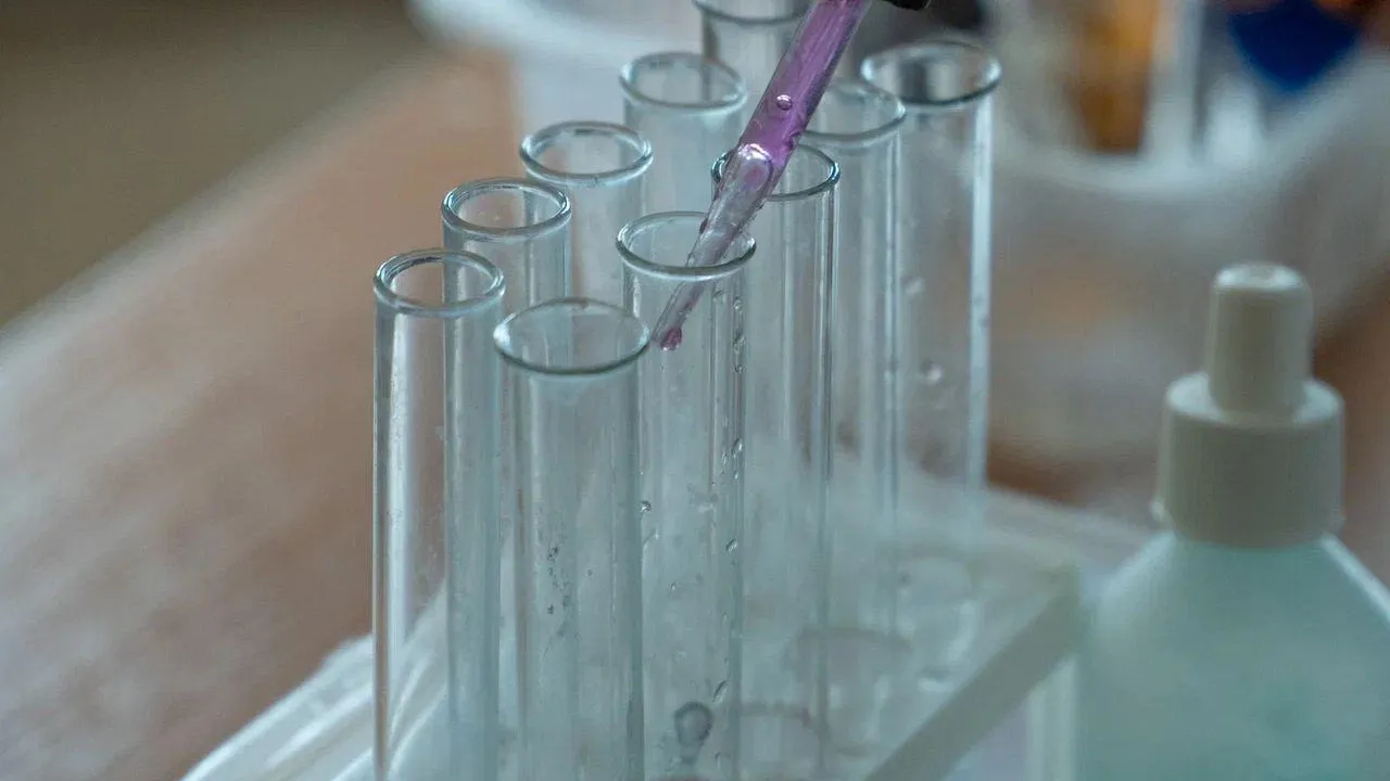 REGIONS/Наталия Надточая