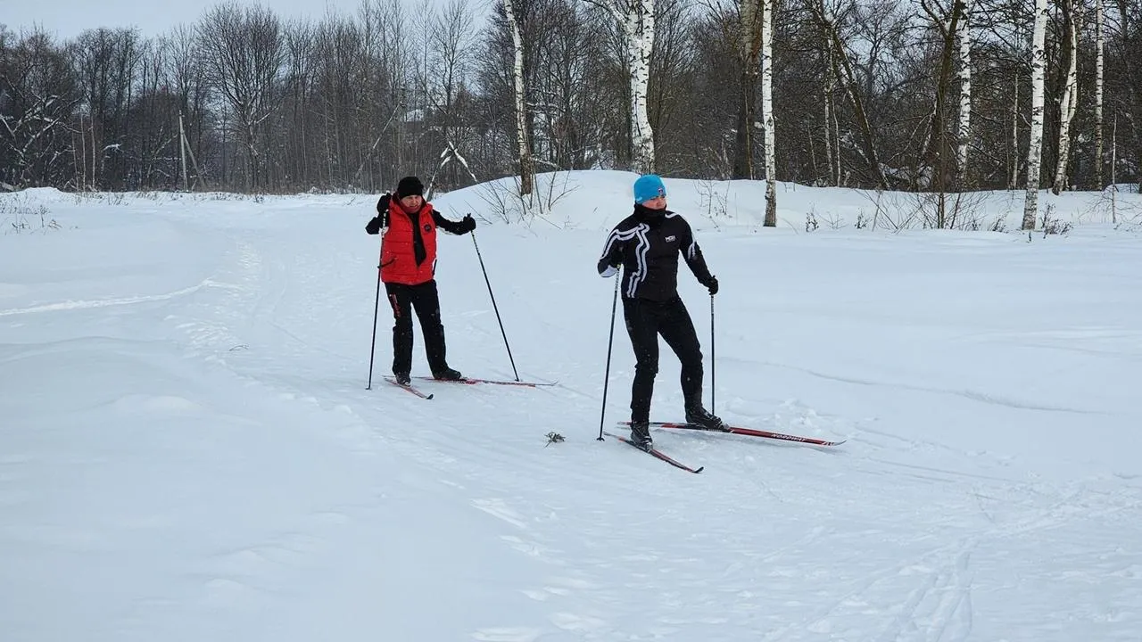 REGIONS/Дмитрий Алексеенко