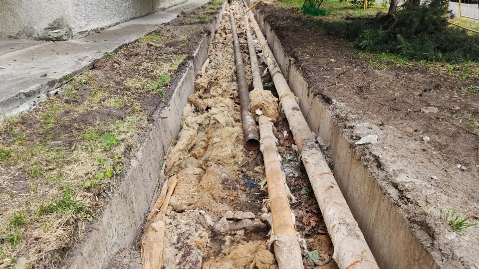 Фото: Вера Коренева