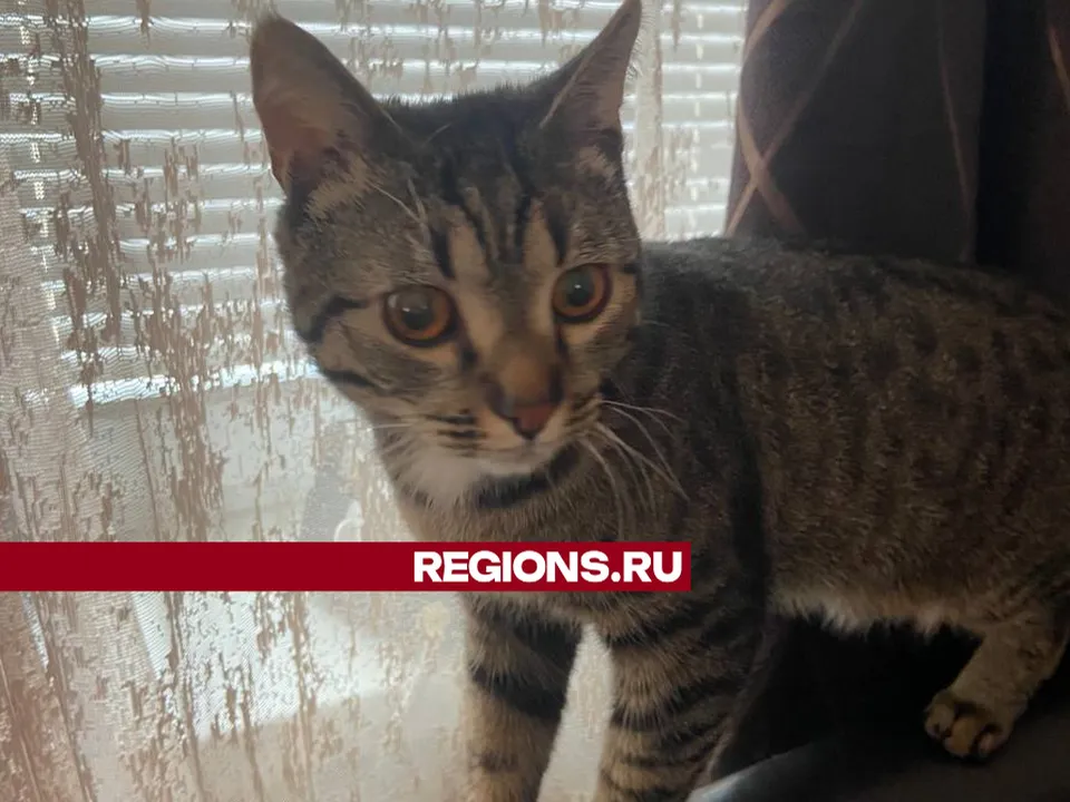 Фото: очевидцы происшествия