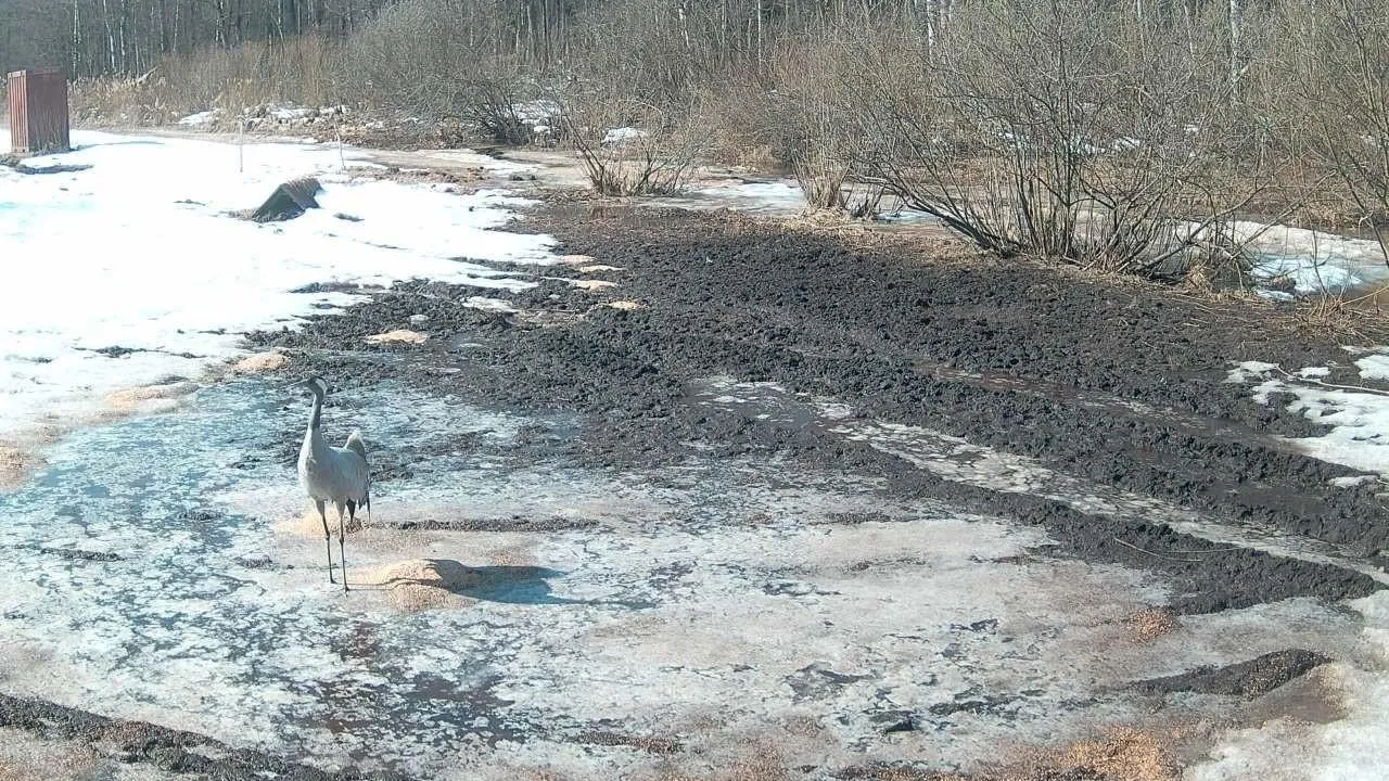 Константин Щербаков