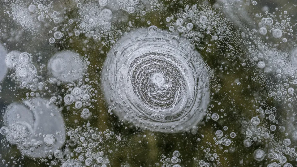 Фото: freepik.com