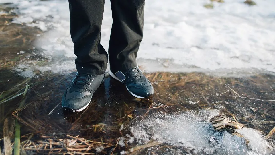 Фото: istockphoto.com/Artranq