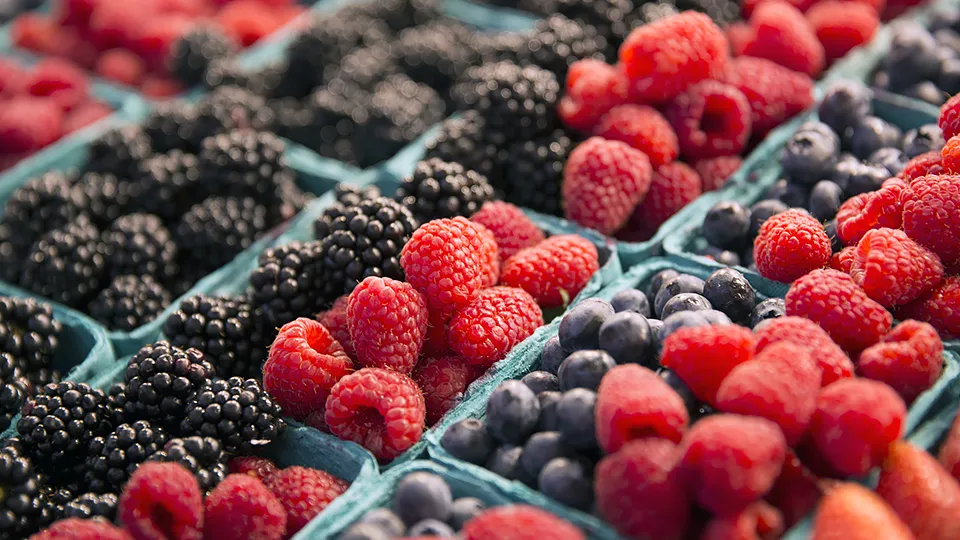 Фото: istockphoto.com