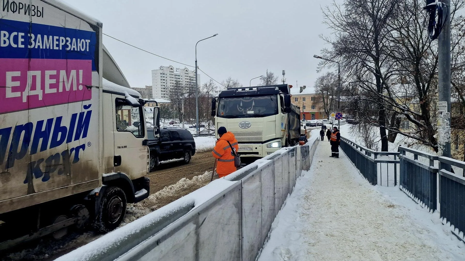 REGIONS/Ольга Шаронова