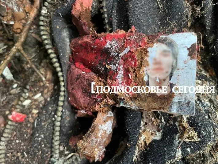 Обнаруженные в лесу под Балашихой части скелета могут принадлежать пропавшему парню с эпилепсией
