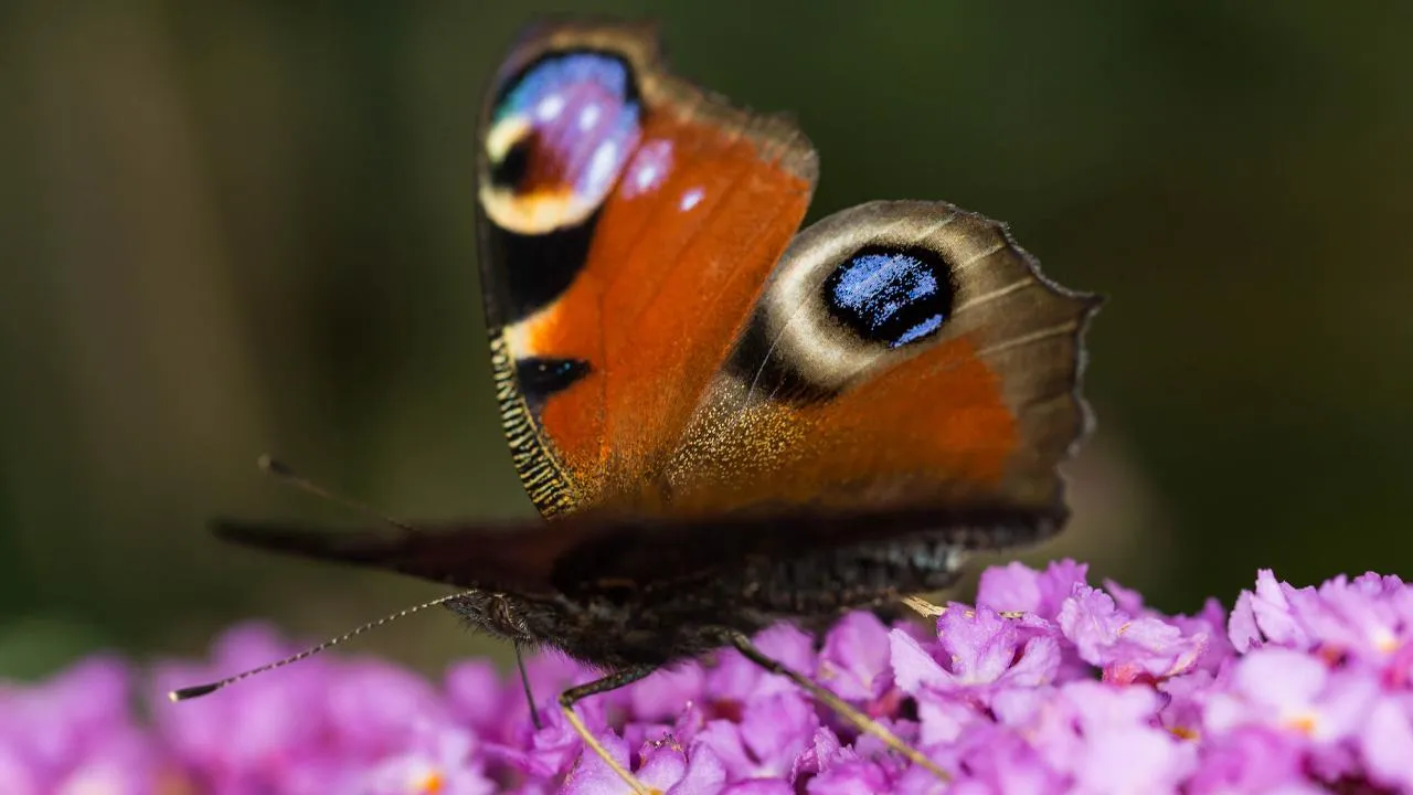 istockphoto.com/greeneyedlens