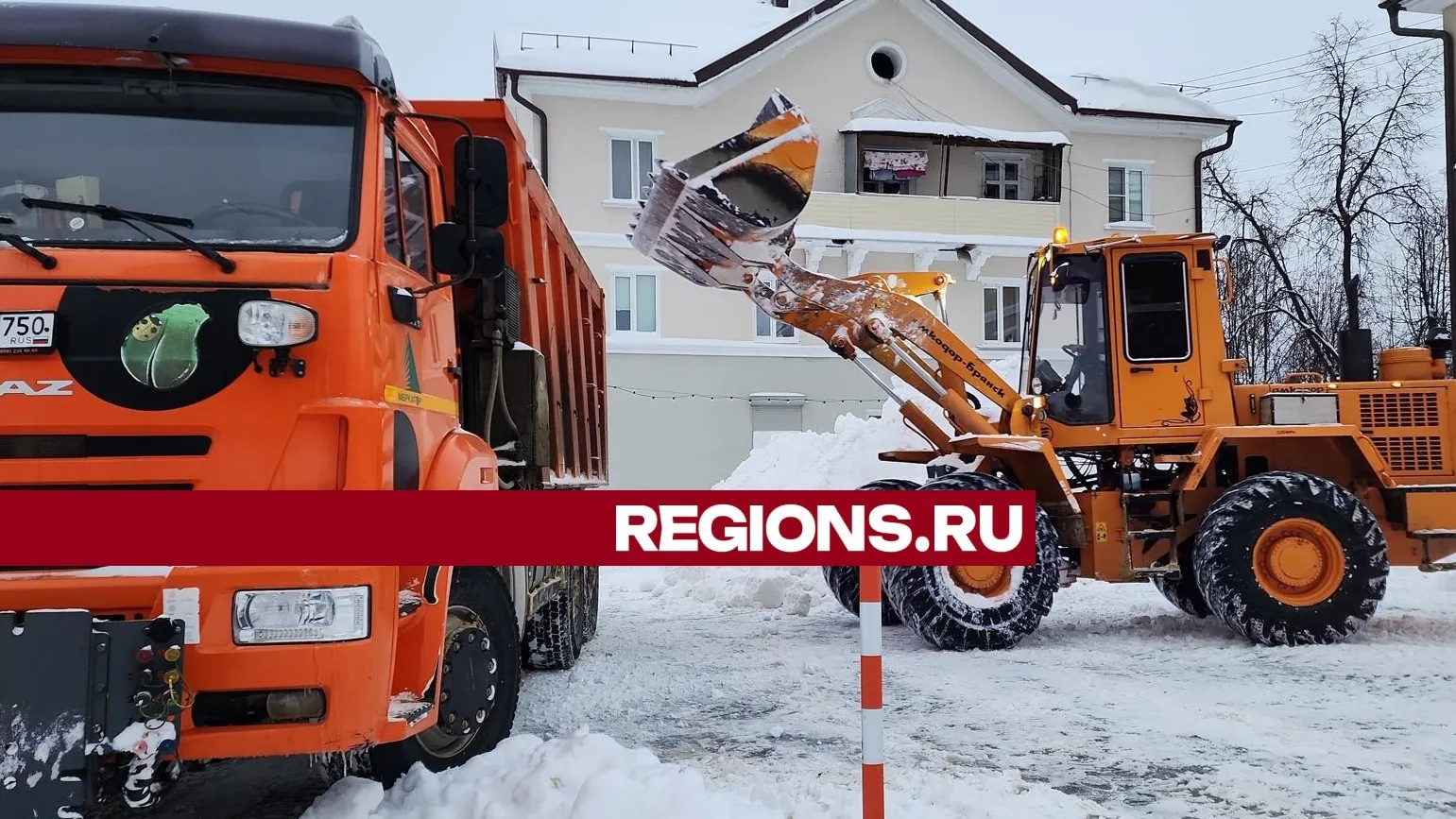 Фото: Нина Басистая