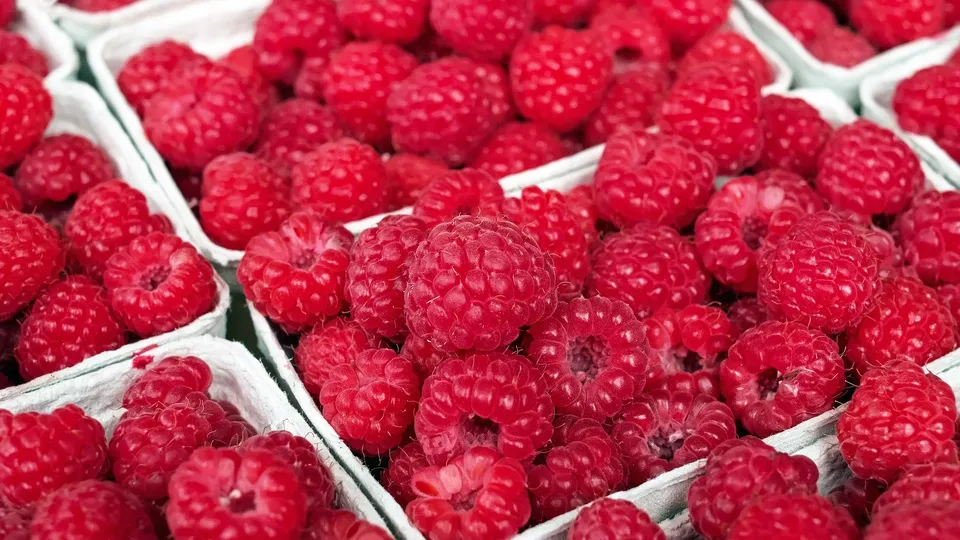 Фото: pxhere.com