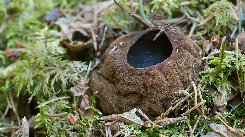 Фото: istockphoto.com