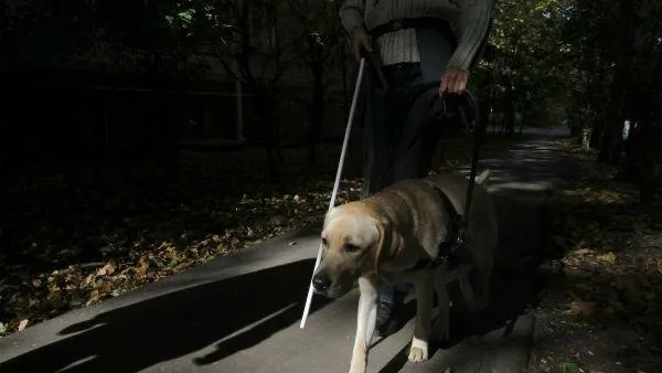 Ряд нарушений доступной среды выявили в Звенигороде