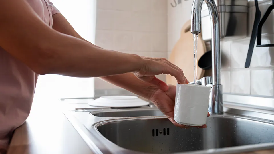 Фото: freepik.com