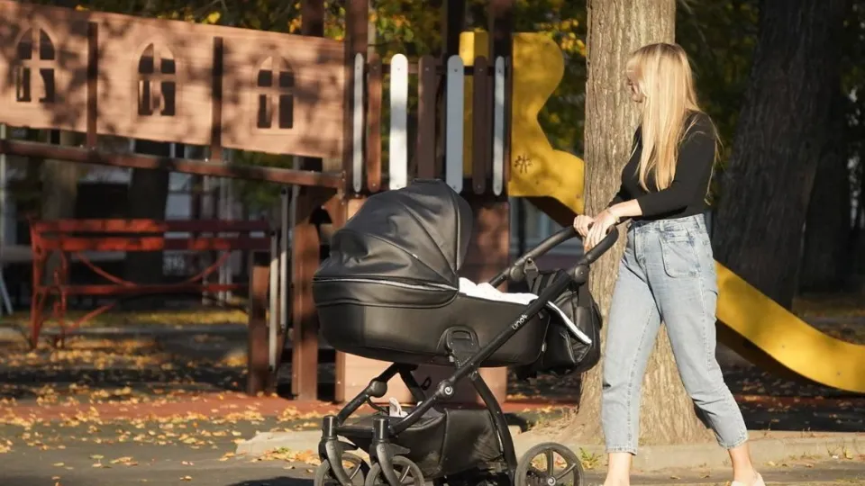 Фото: Министерство благоустройства Московской области