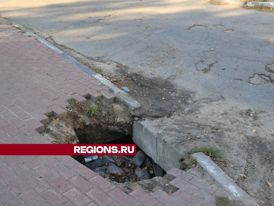 Фото: Алексей Грызлов