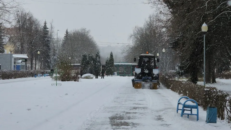 Фото: Светлана Плотникова