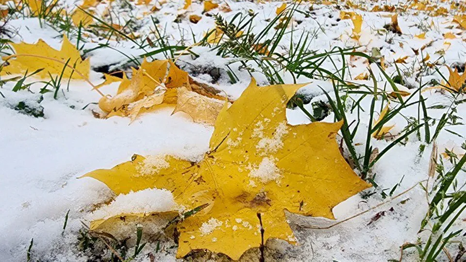 Фото: REGIONS/Наталья Надточая