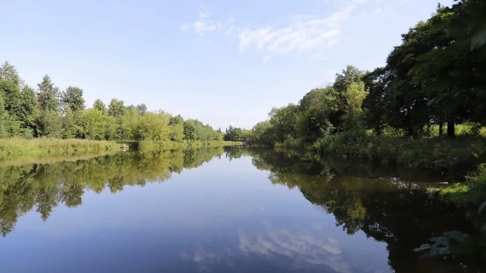 Фото: t.me/VorobievDmitrij