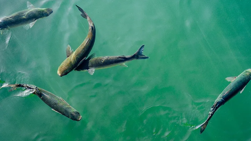 Фото: unsplash.com