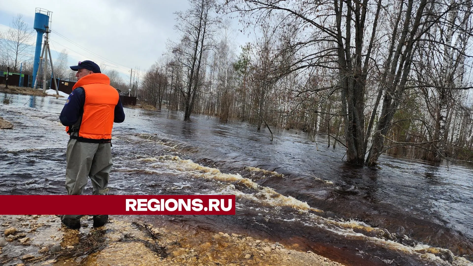 Фото: Юлия  Андросова