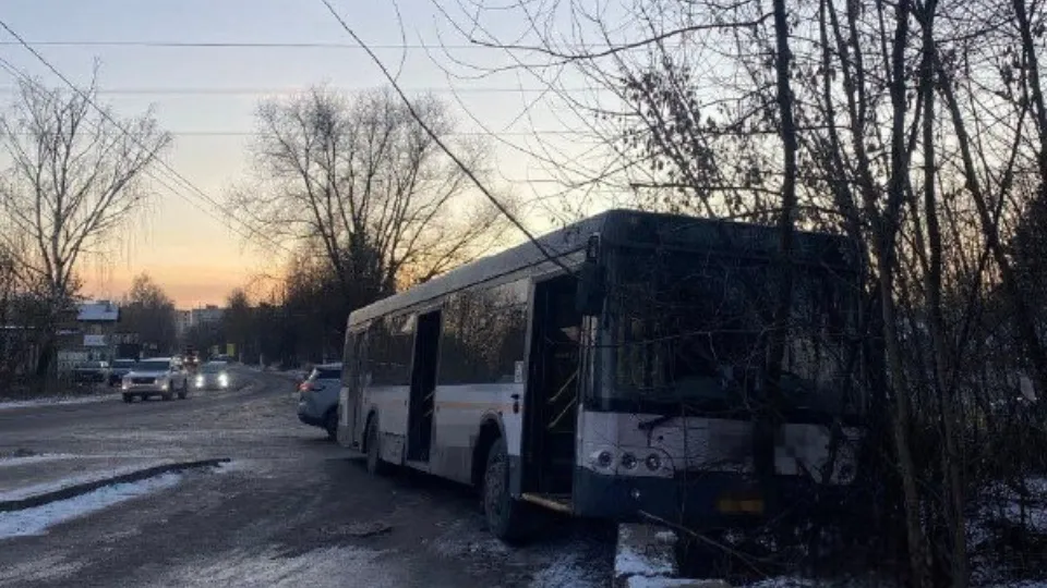 Фото: t.me/gumvd50