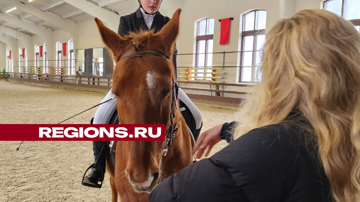 Фото: Мария Андрюхина