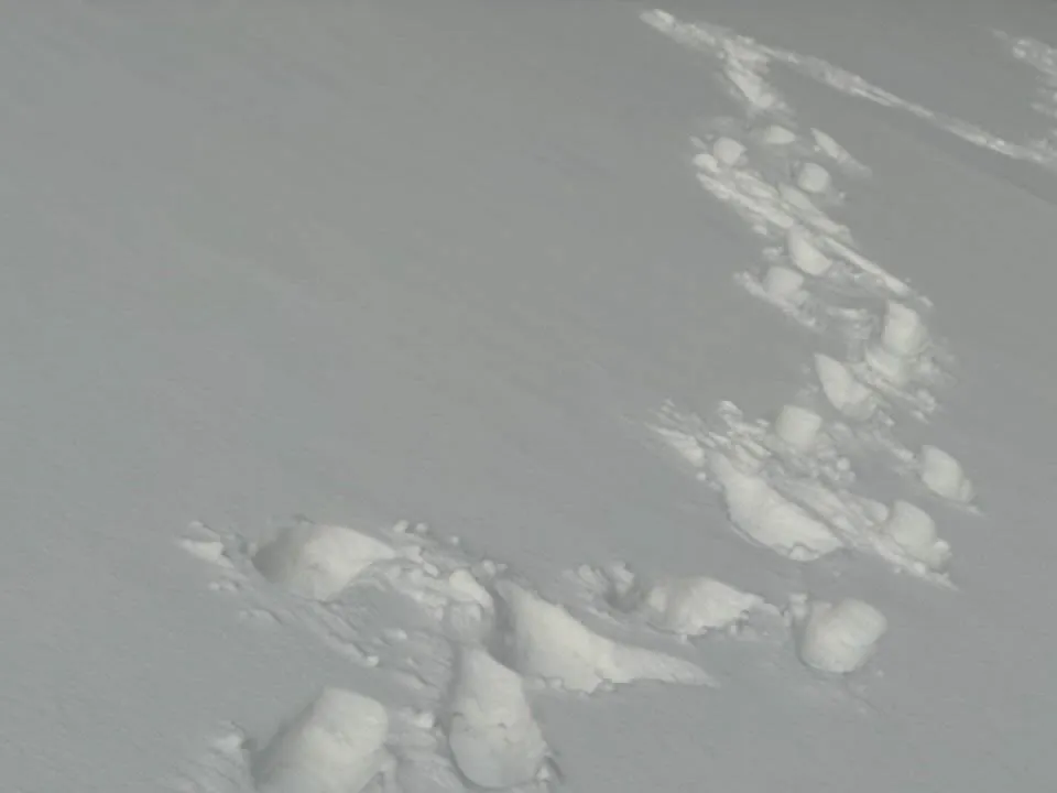 Фото: REGIONS/Владимир Ерастов