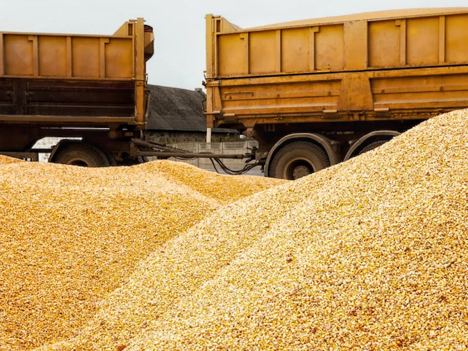 «Россия приблизила победу в СВО»: выяснилось, кто больше других пострадает от закрытия зерновой сделки