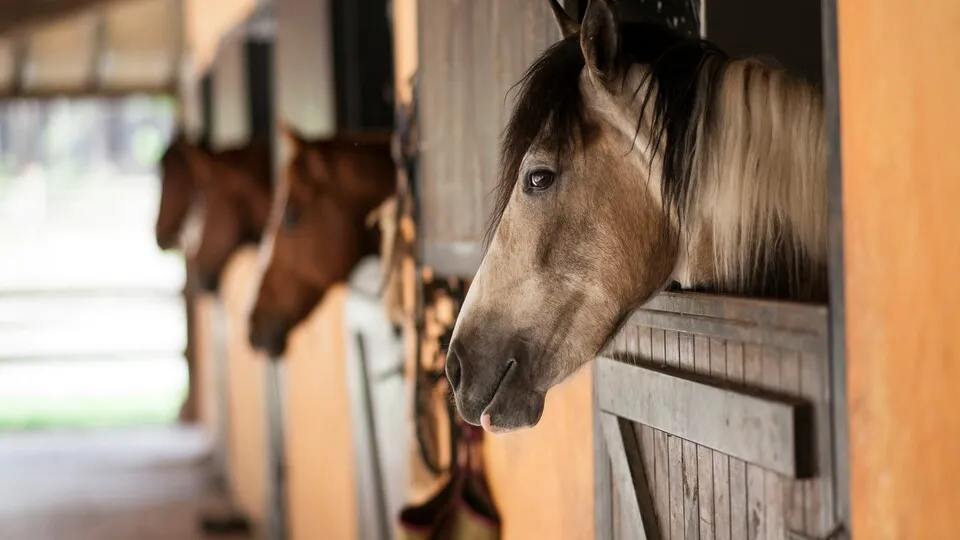 Фото: unsplash.com