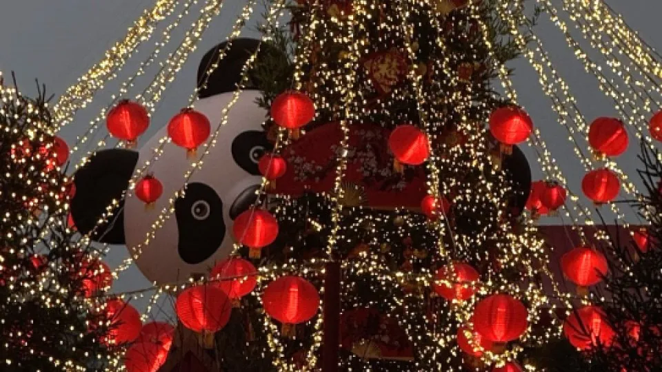 Фото: REGIONS/Дарина Левкина