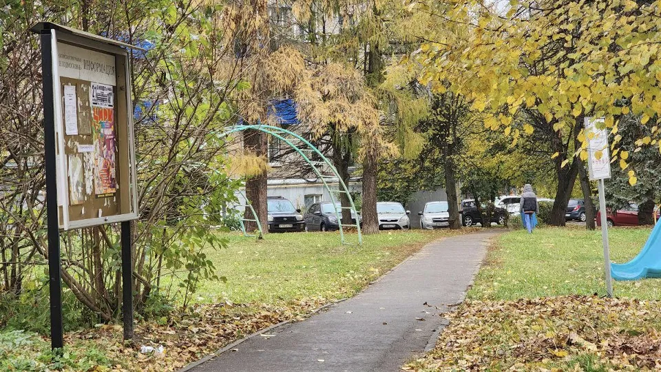 Фото: Мария Панина