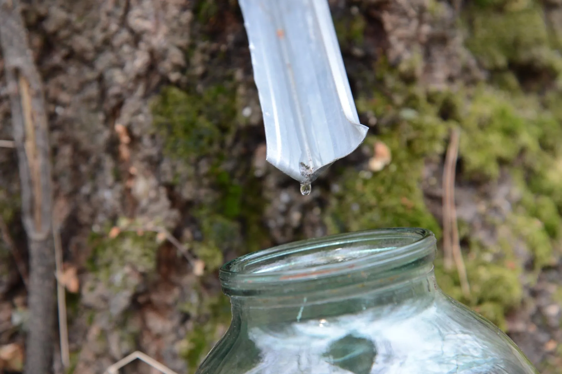 REGIONS/Нина Соколова