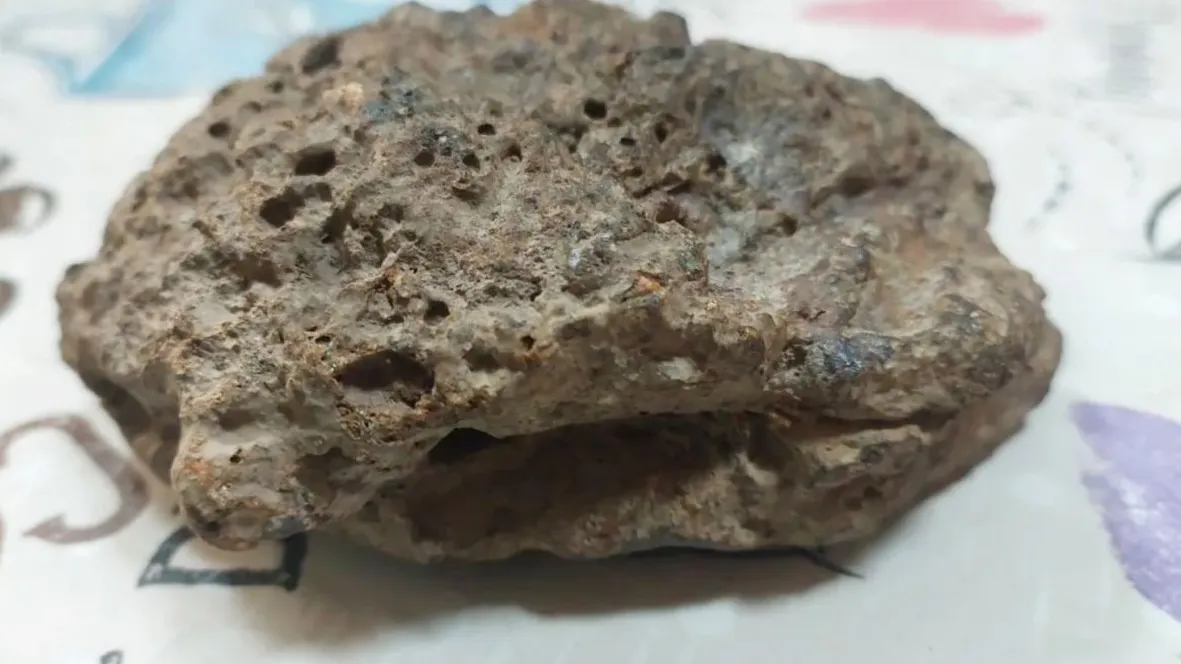 Фото: городская доска объявлений