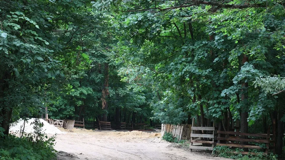 Фото: Марат Алиев