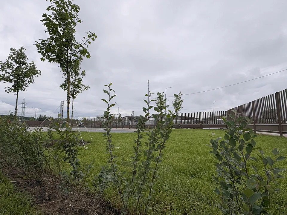 Фото: REGIONS/Мария Шматкова