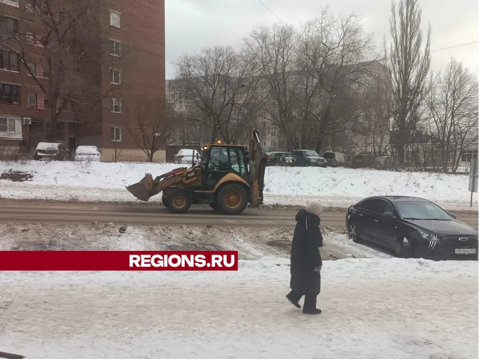 Фото: REGIONS/Юлия Павлова