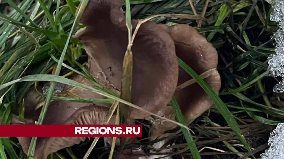 Фото: личный архив Юлии Кулаковой