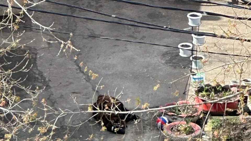 Фото: соцсети