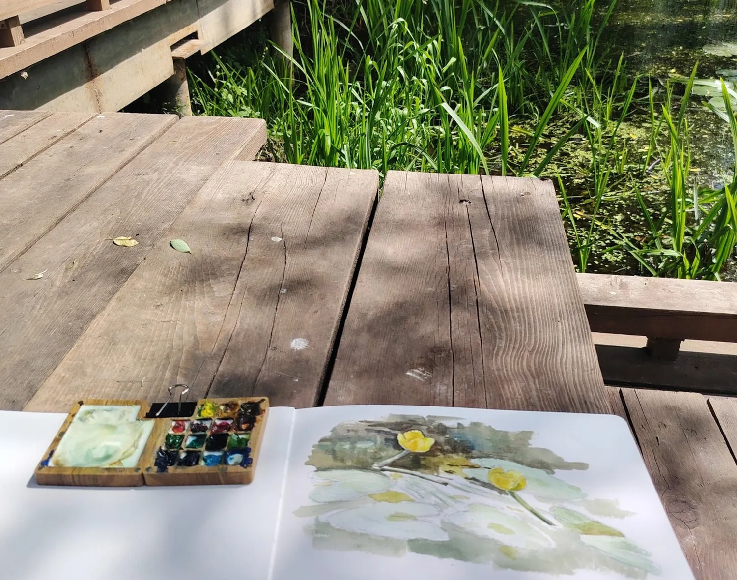 Фото: Елена Прозорова