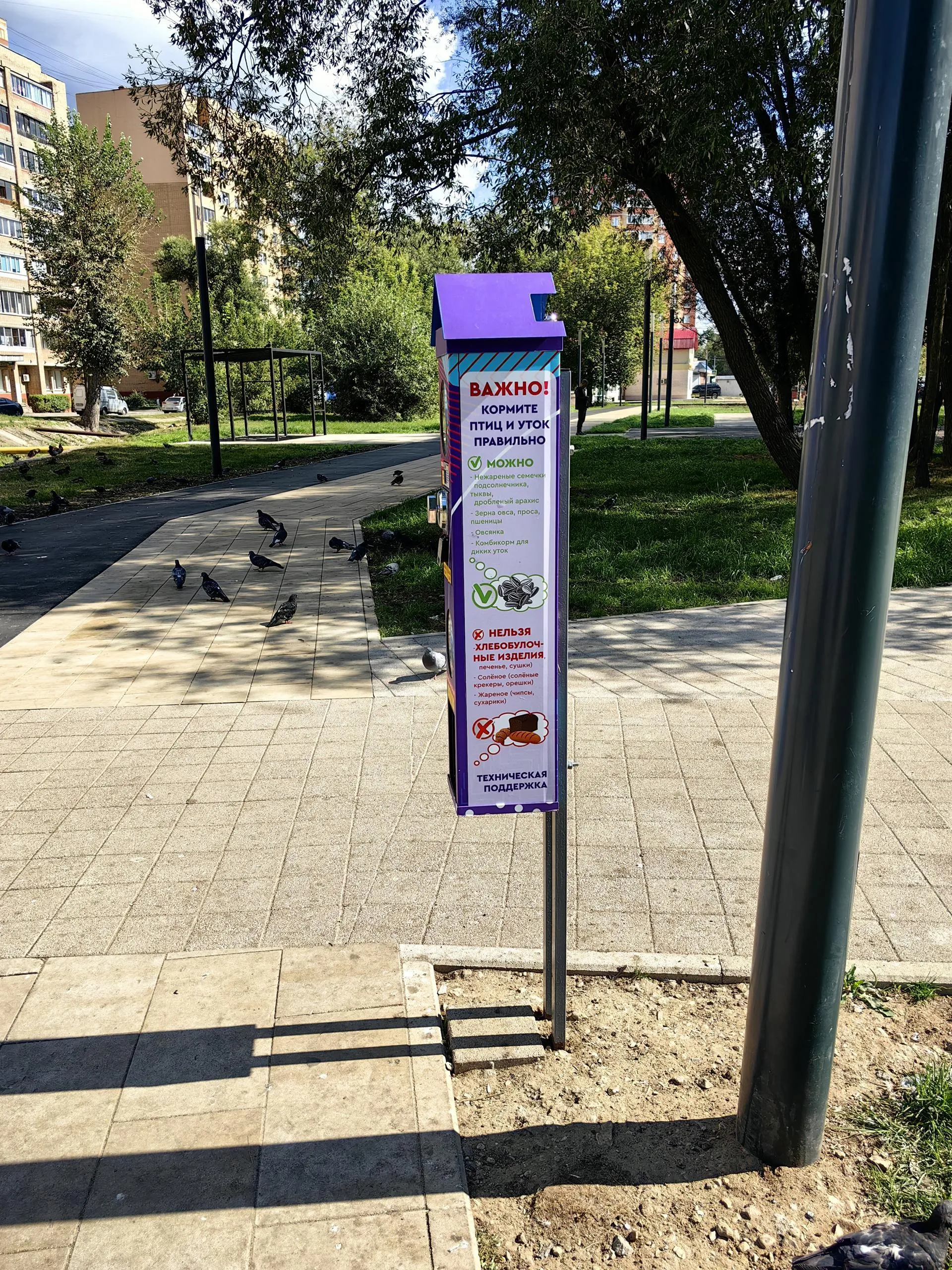 Елена Катасонова