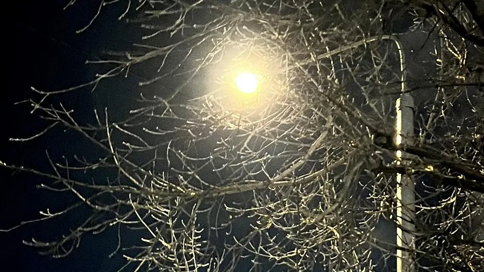 Фото: Министерство по содержанию территорий и государственному жилищному надзору