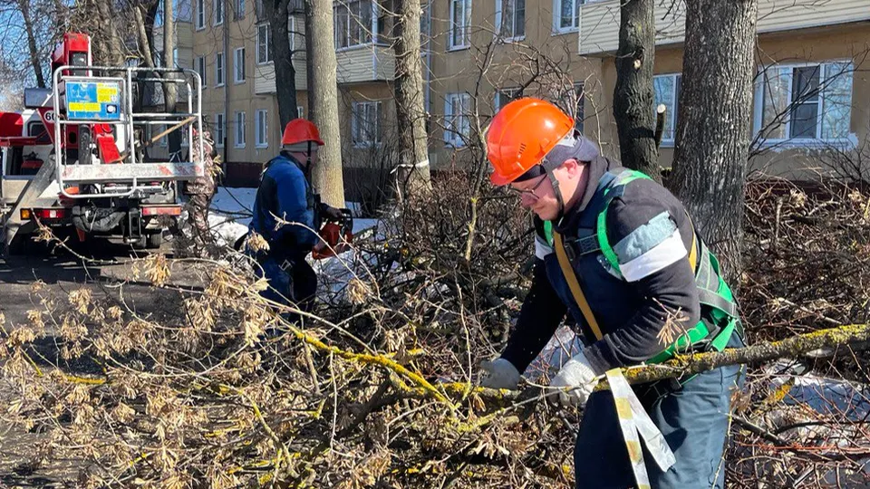 Фото: Наталия Шепелева