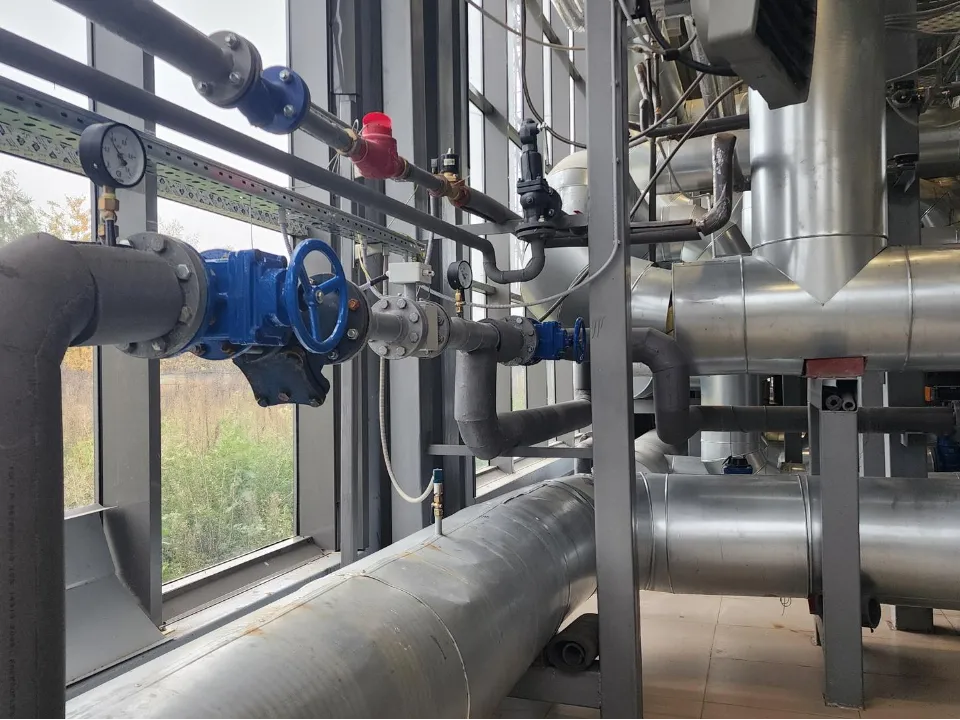 Фото: Медиабанк Подмосковья/Анастасия Сараева