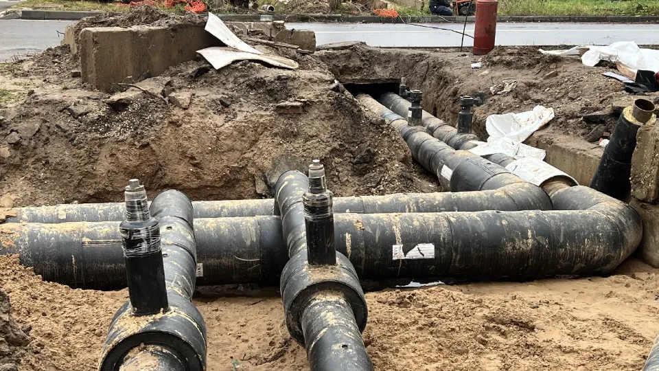 Фото: МедиаБанк Подмосковья/Аннета Юрасова