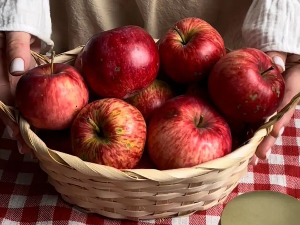 Фото: Ульяна Глазова